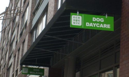 Storefront Signs nj